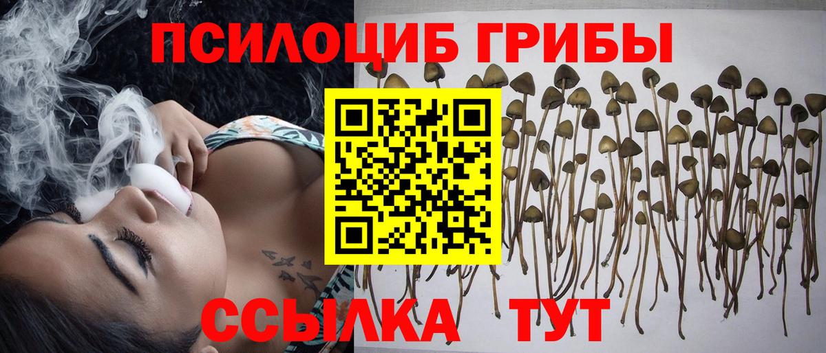 Псилоцибиновые грибы Magic Shrooms  Псилоцибиновые грибы ЛСД  Сергиев Посад  Вход с VPN 
